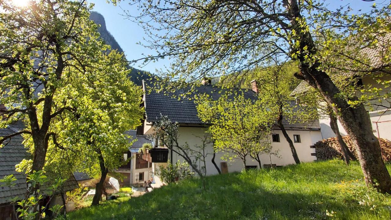 Apartmaji Pekovec Bohinj Exterior foto
